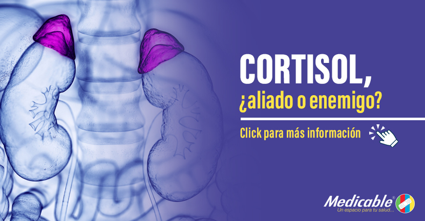 Cortisol, ¿aliado o enemigo?