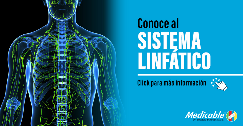 Sistema Linfático