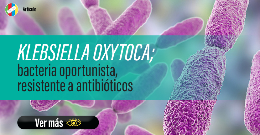 KLEBSIELLA OXYTOCA