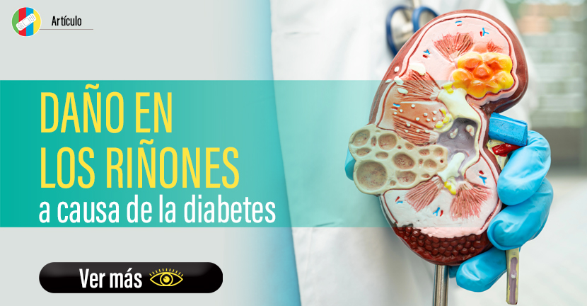 Daño en los riñones a causa de la diabetes.