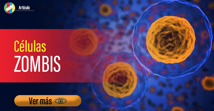 Células zombis