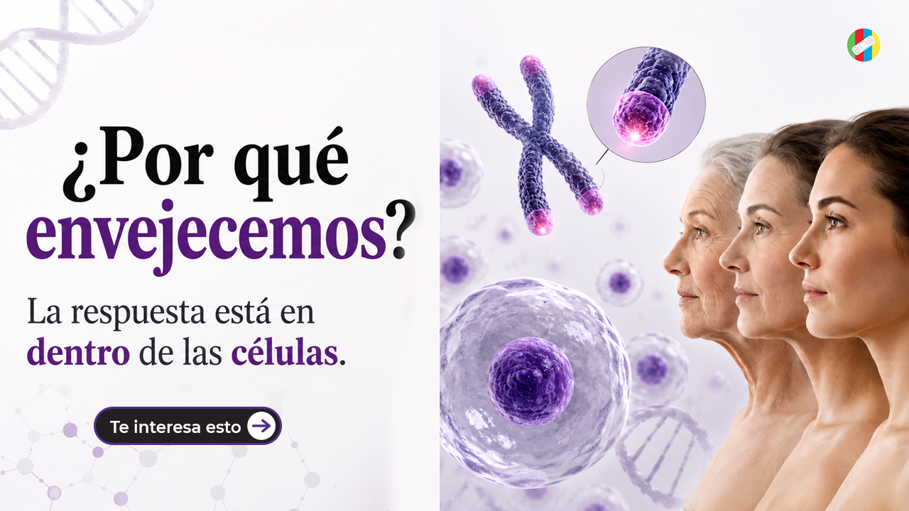 ¿Por qué envejecemos? La respuesta está en dentro de las células. 