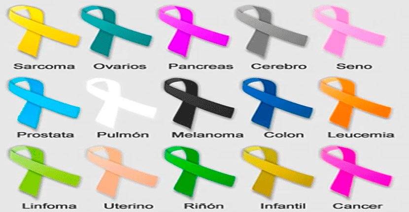 Bayer colabora con 1.5 millones con la Asociación Mexicana de Lucha Contra el Cáncer