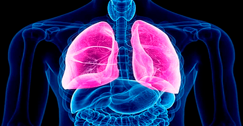 Fibrosis quística, atención multidisciplinaria