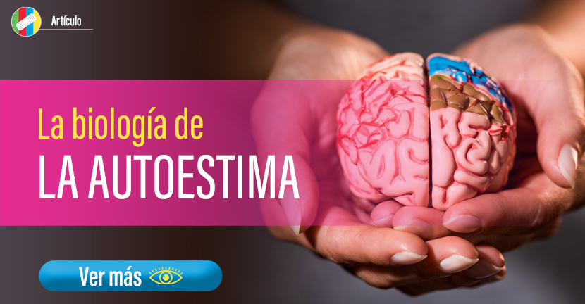 La biología de la autoestima.