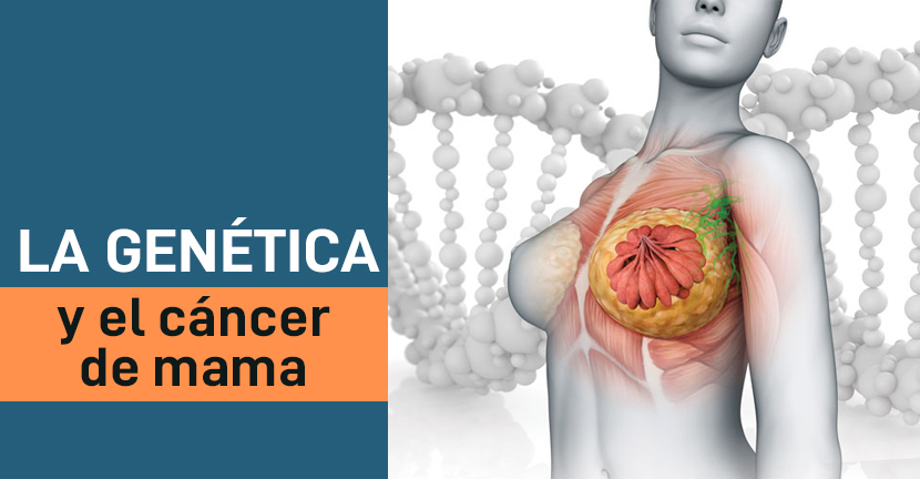 La genética y el cáncer de mama