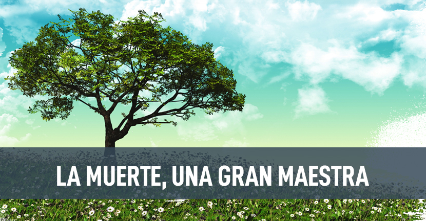 La muerte, una gran maestra