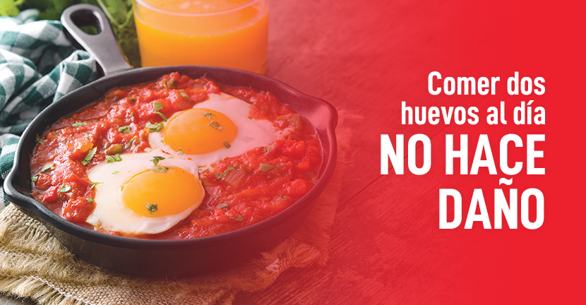Dos huevos al día no hacen daño