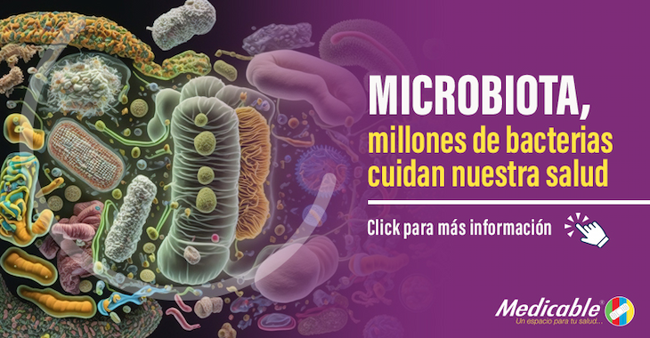 Microbiota, miles de millones de bacterias en nuestro organismo