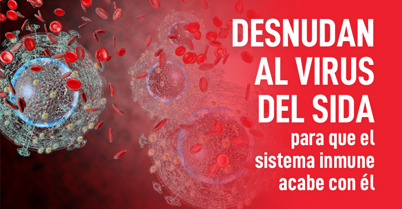 Desnudan al virus del sida para que el sistema inmune acabe con él