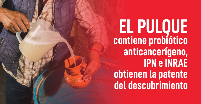 El pulque contiene probiótico anticancerígeno, IPN e INRAE obtienen la patente del descubrimiento