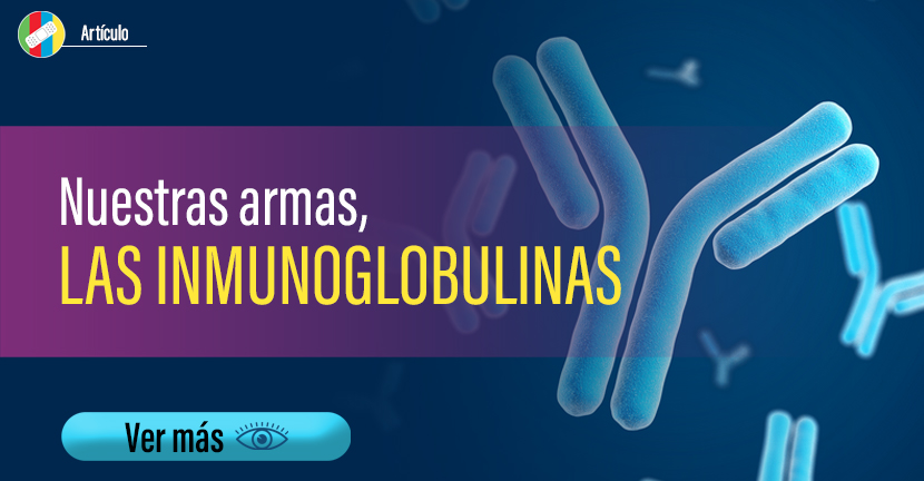 Nuestras armas, las inmunoglobulinas.