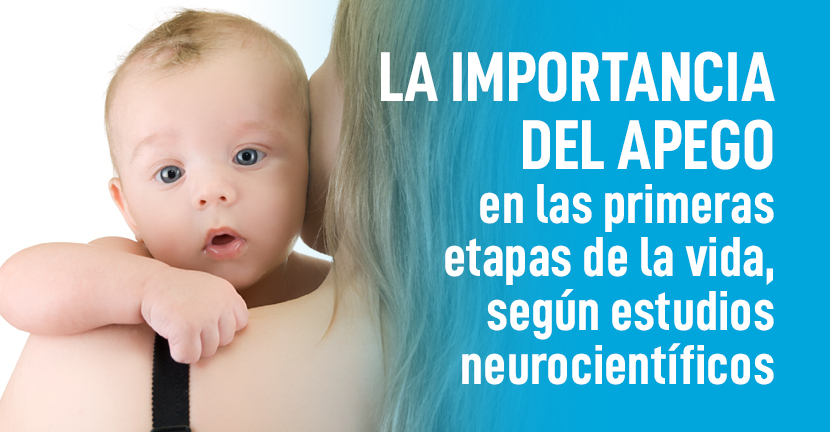 La importancia del apego en las primeras etapas de la vida, según estudios neurocientíficos