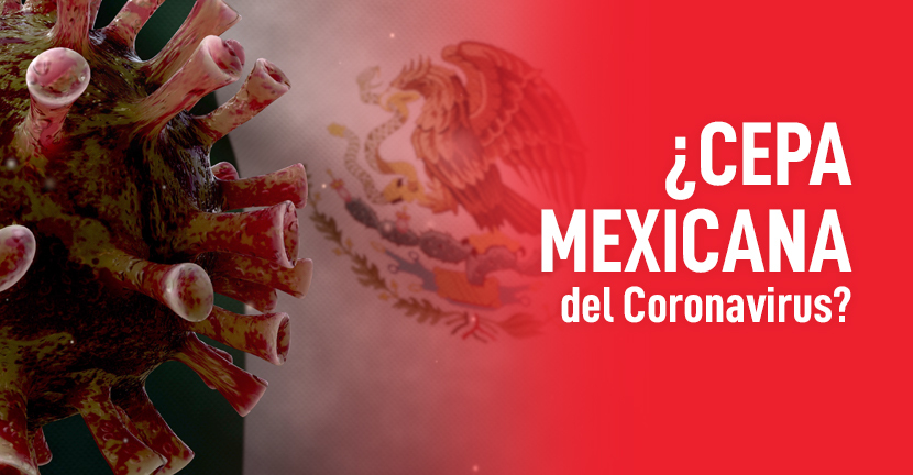 ¿Cepa mexicana del Coronavirus?