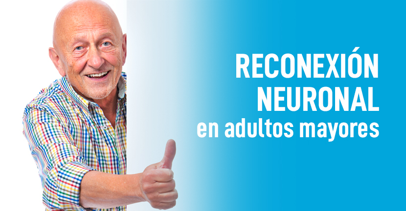 Reconexión neuronal en adultos mayores