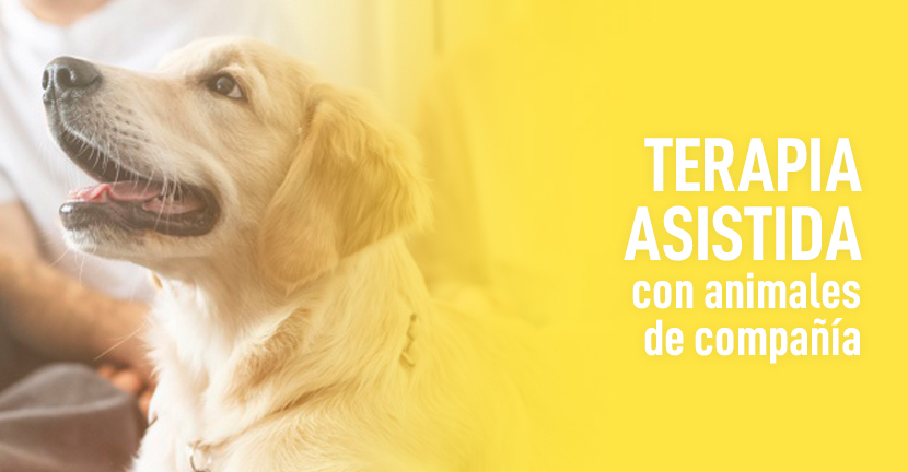 Terapia asistida con animales de compañía 