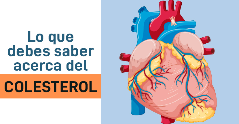 Lo que debes saber acerca del colesterol