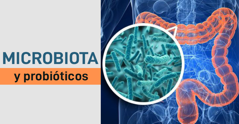 Microbiota y probióticos