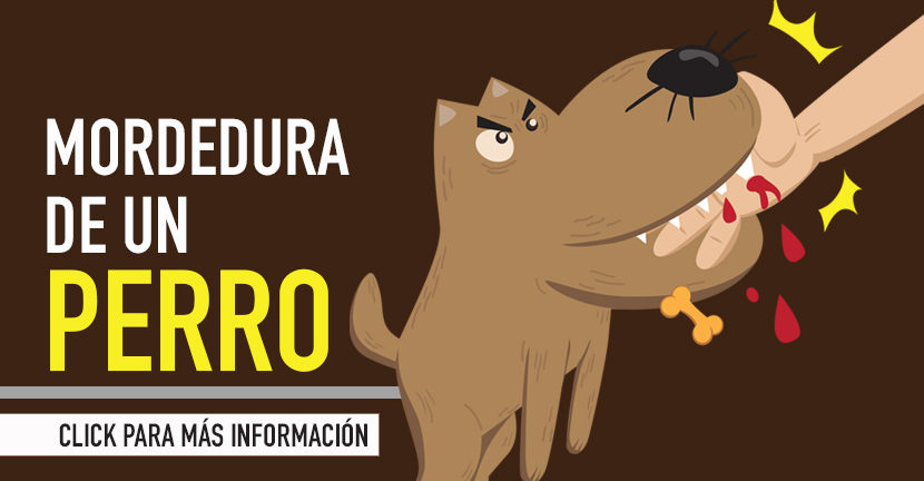 La mordedura de un perro