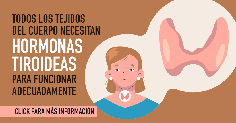 Tiroides