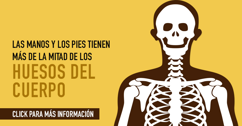Los huesos y las matemáticas