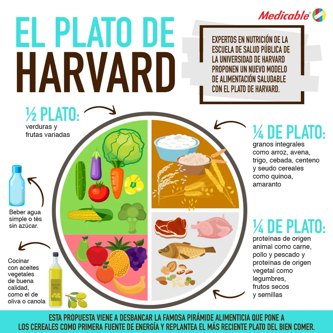 El plato de hardvard