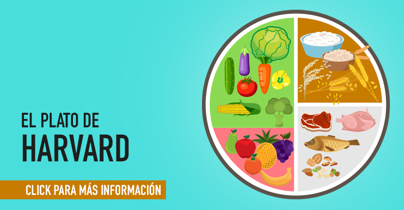 El plato de hardvard