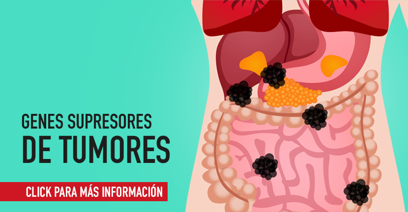 Genes supresores de tumores