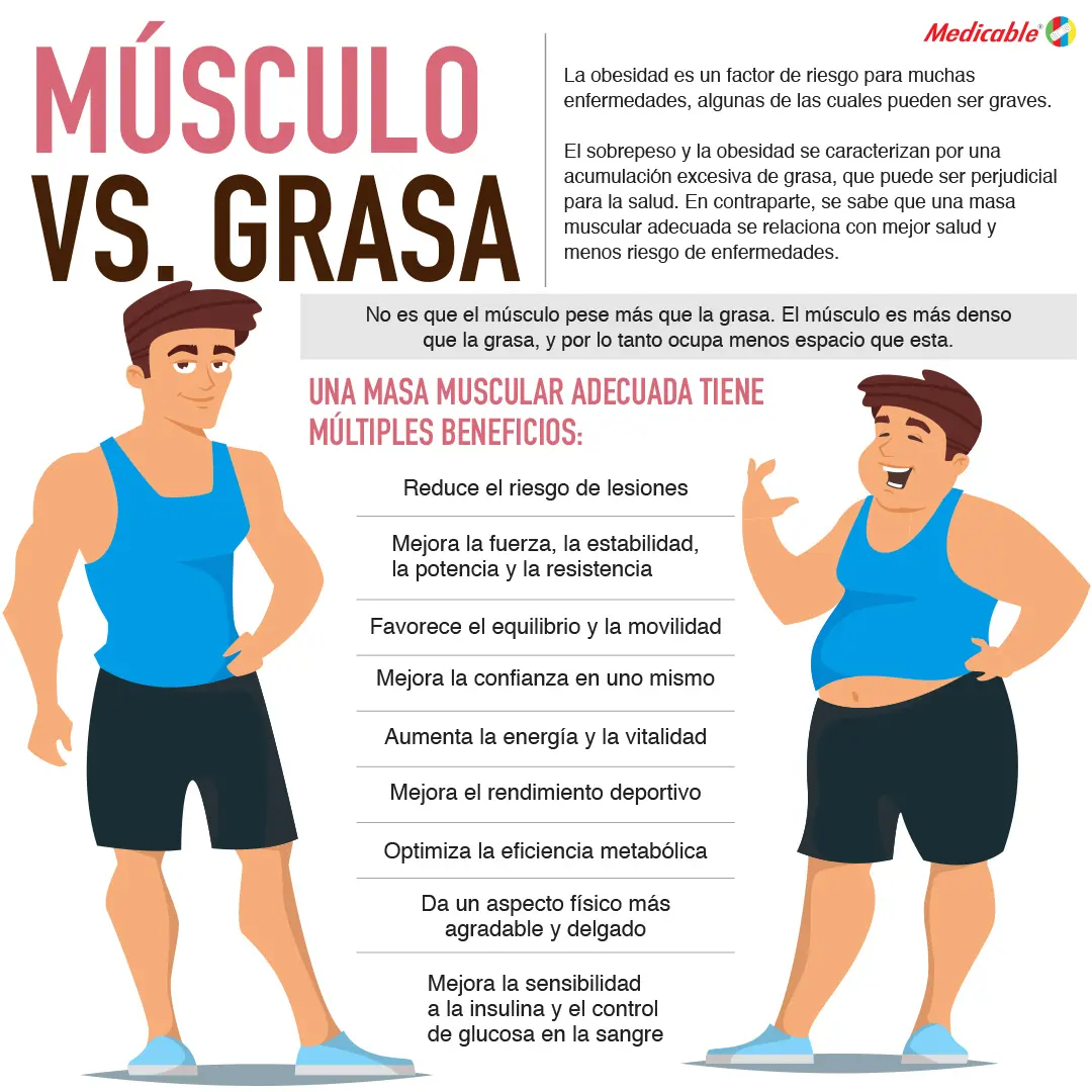 Músculo vs Grasa