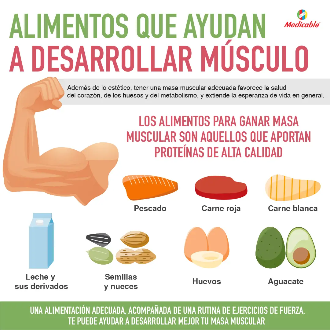 Alimentos que ayudan a desarrollar músculo 