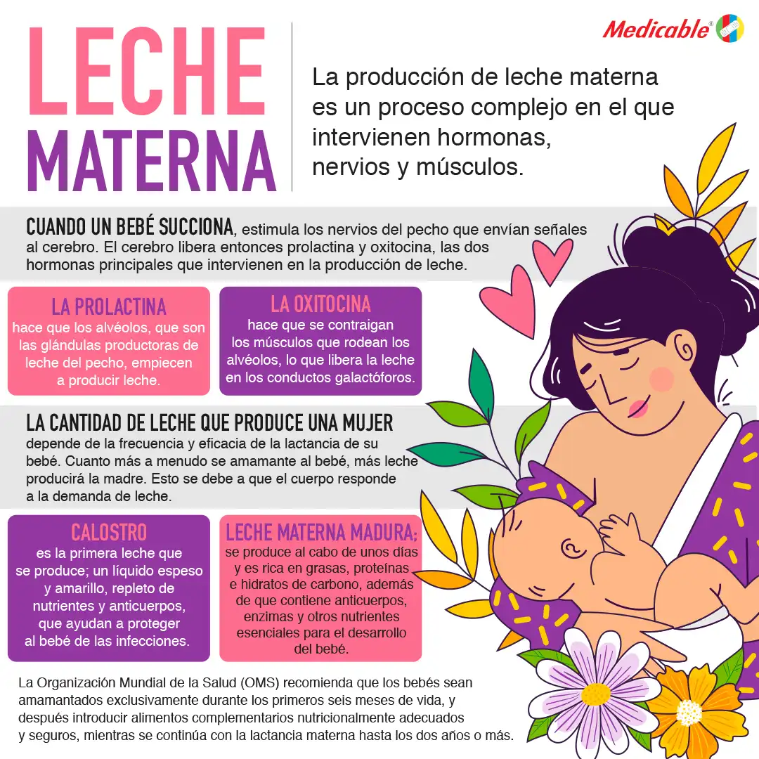 Leche materna