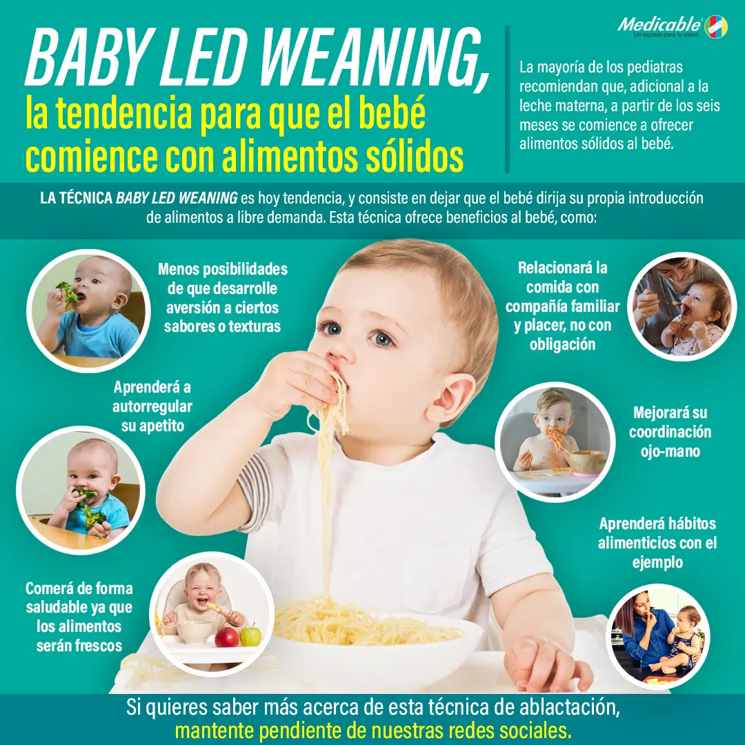 Baby Led Weaning, la tendencia para que el bebé comience con alimentos sólidos