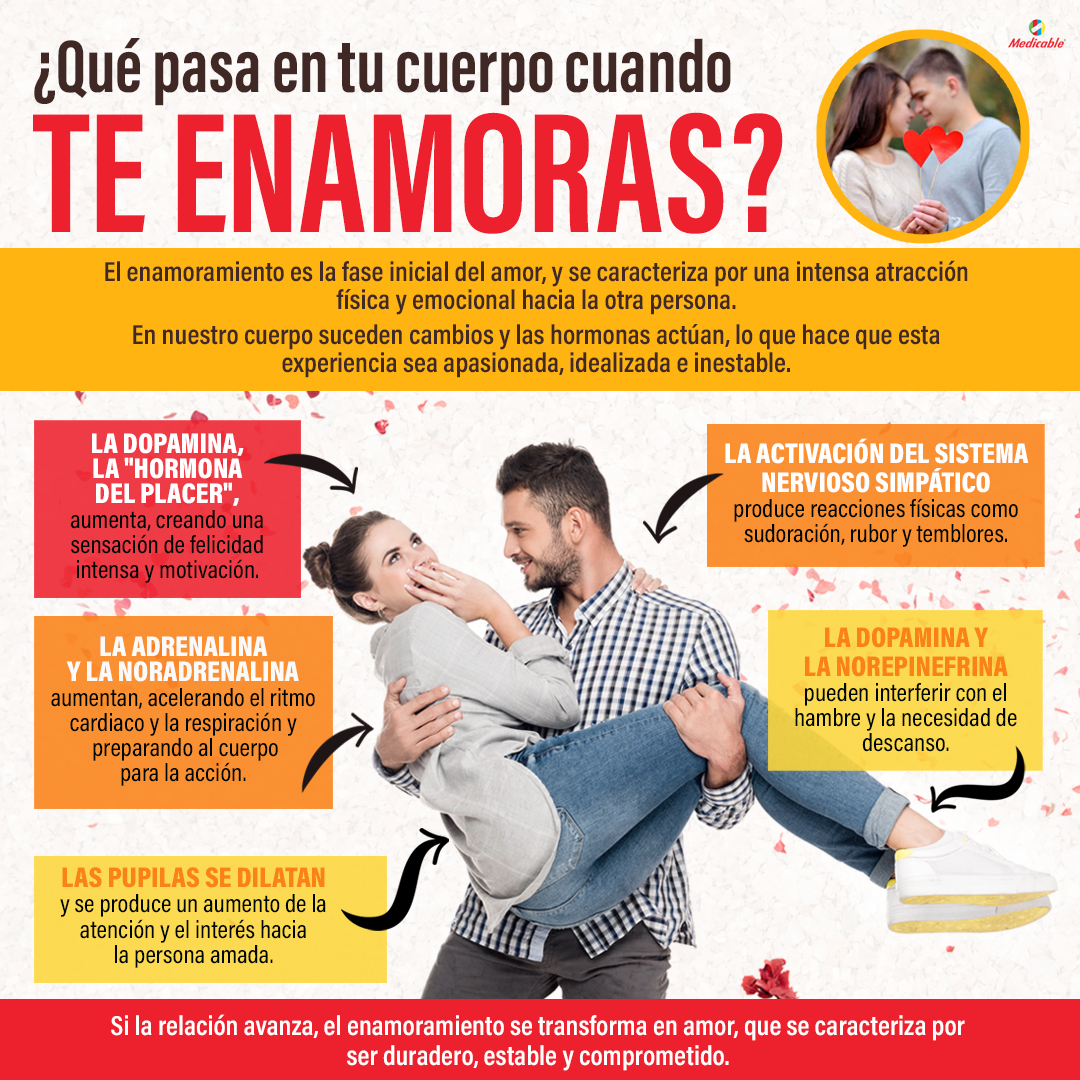 ¿Qué pasa en tu cuerpo cuando te enamoras?