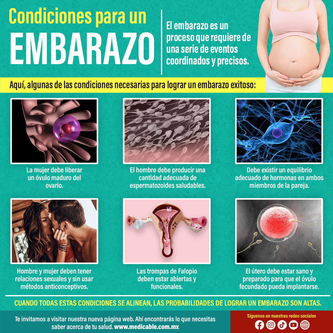 Condiciones para un embarazo