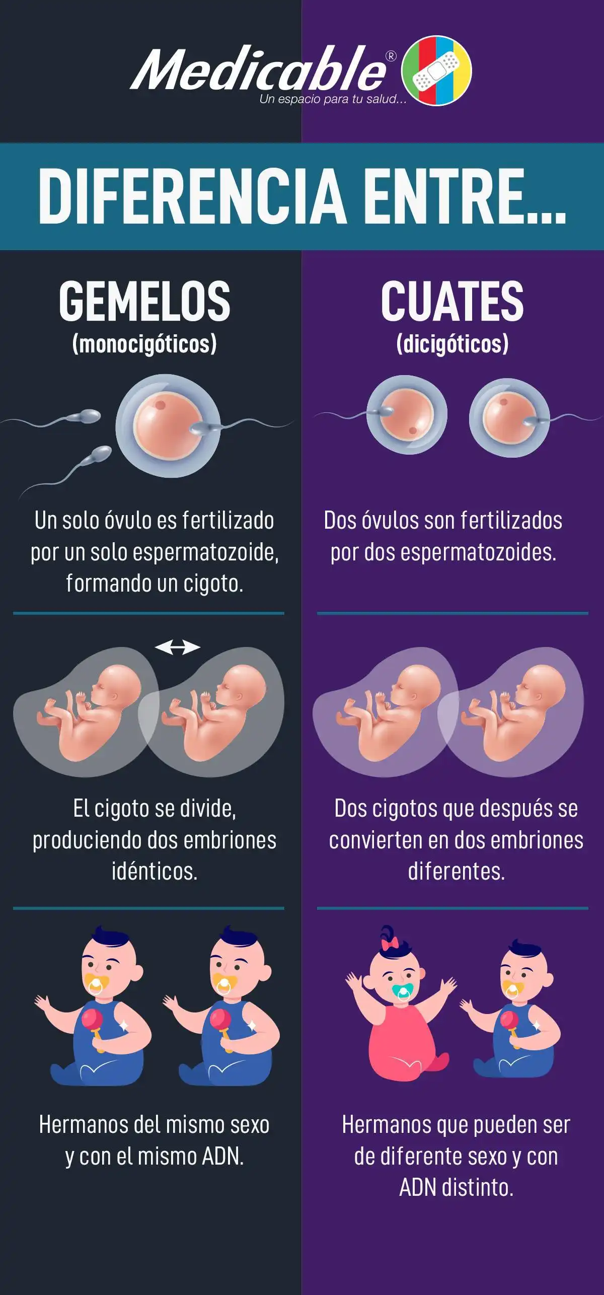 Diferencia entre gemelos y cuates