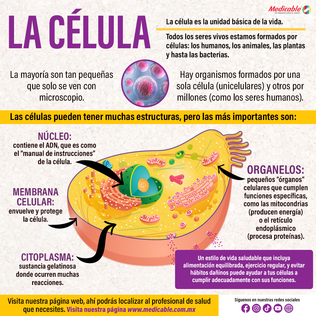 La célula, unidad básica de la vida