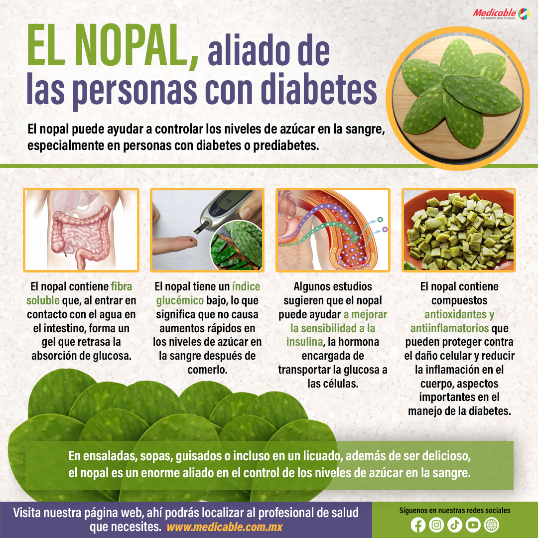 El Nopal, aliado de las personas con diabetes.