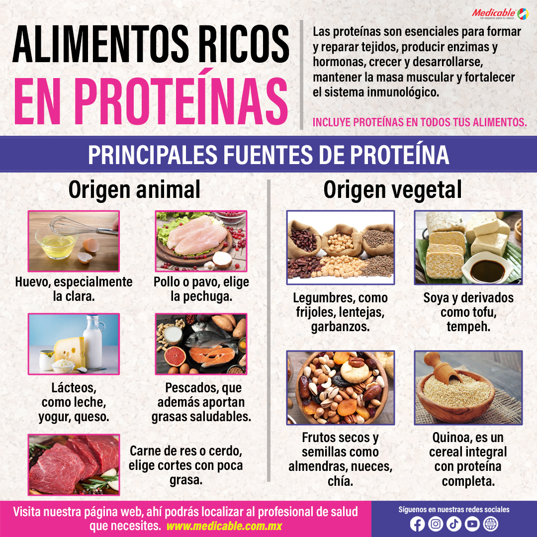 Alimentos ricos en proteínas.