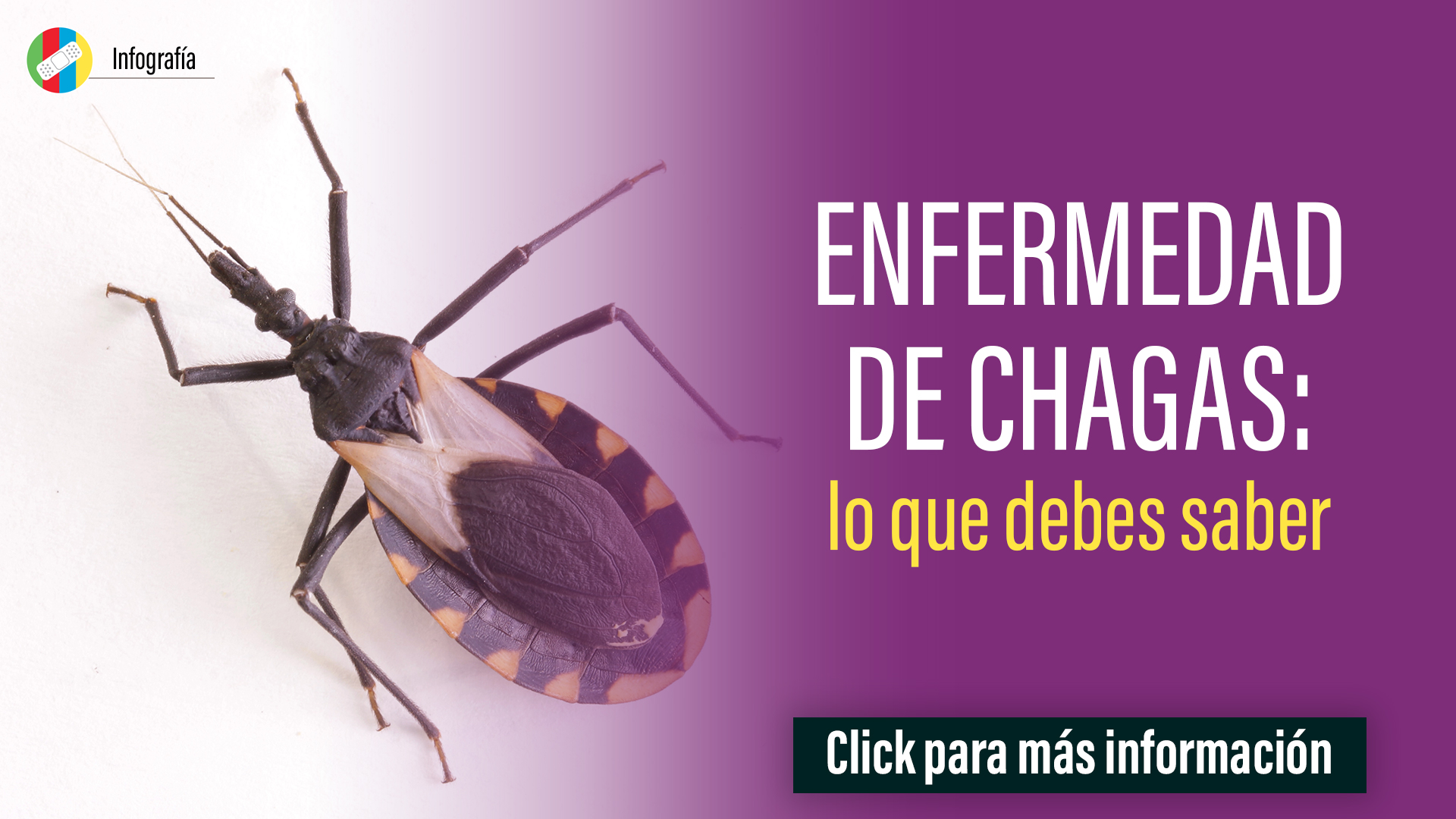 Enfermedad de Chagas: lo que debes saber