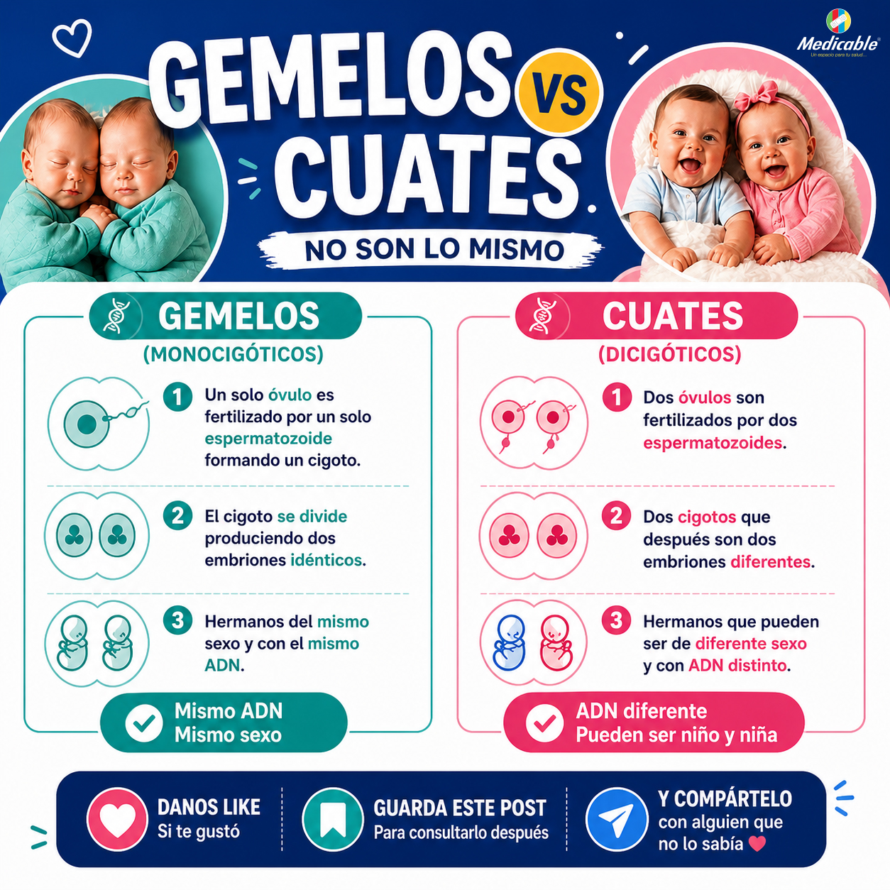 Gemelos y cuates: la verdad detrás de su origen