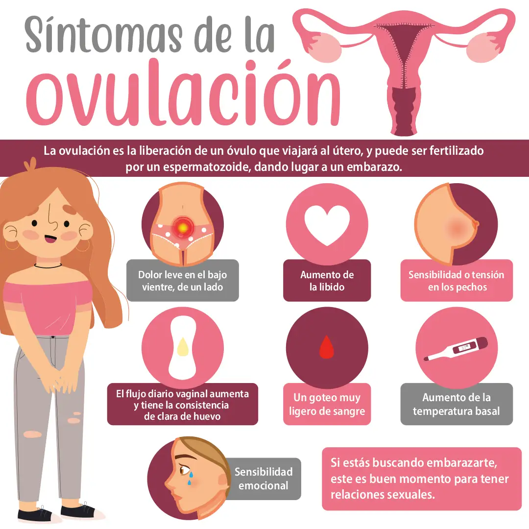 síntomas de la ovulación